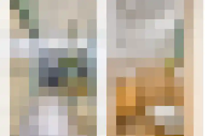 Frans Halsstraat 1 Oudheusden thumbnail 5