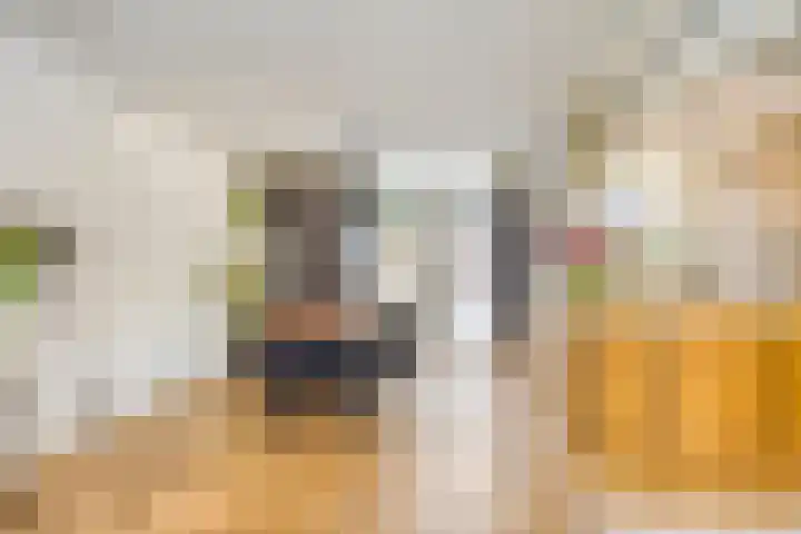 Frans Halsstraat 1 Oudheusden thumbnail 7