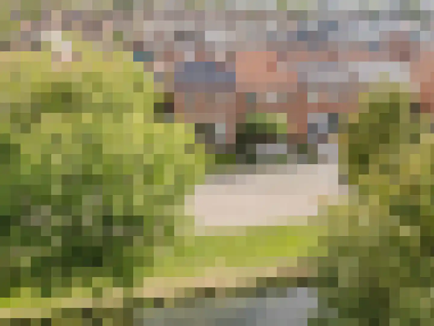 Frans Halsstraat 10 Hardinxveld-Giessendam thumbnail 32
