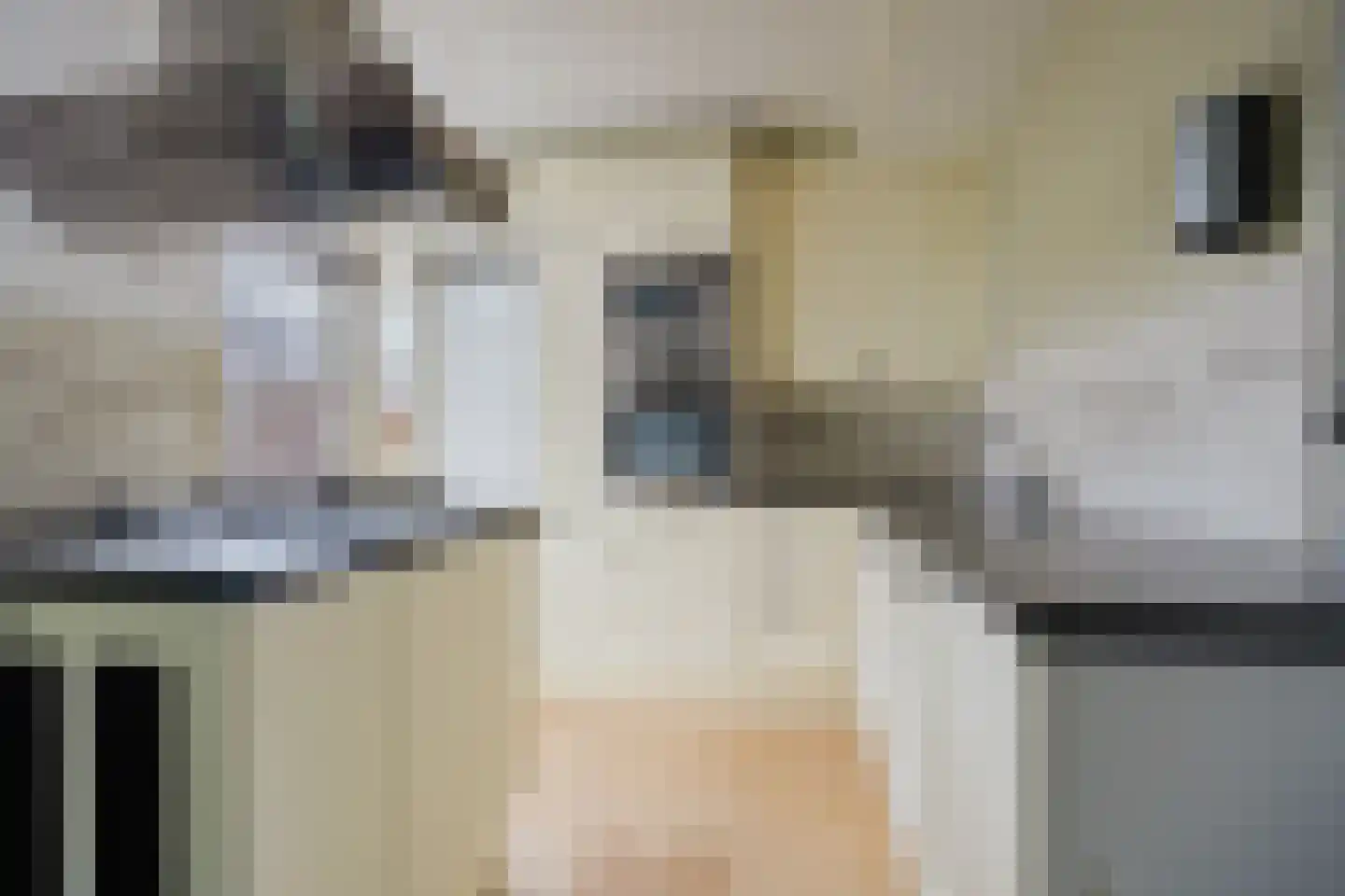 Frans Halsstraat 10 Hardinxveld-Giessendam thumbnail 9