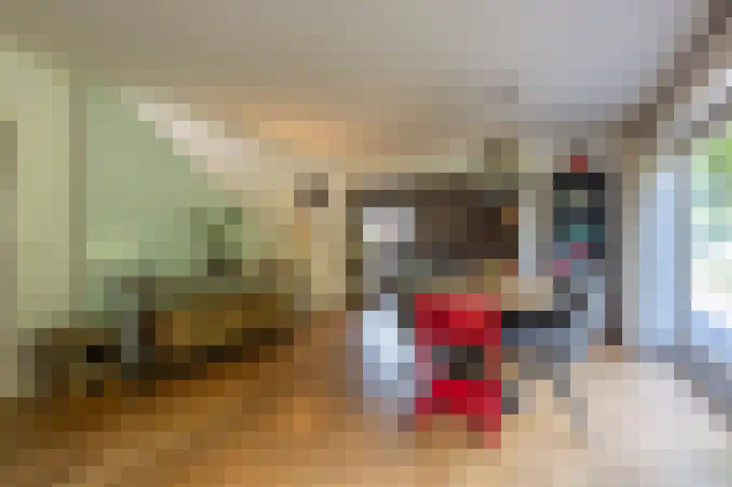 Frans Halsstraat 10 Kerkrade thumbnail 6