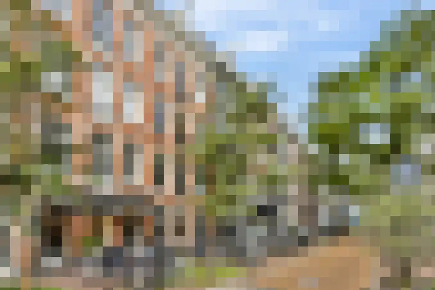 Frans Halsstraat 104 4 Amsterdam thumbnail 19