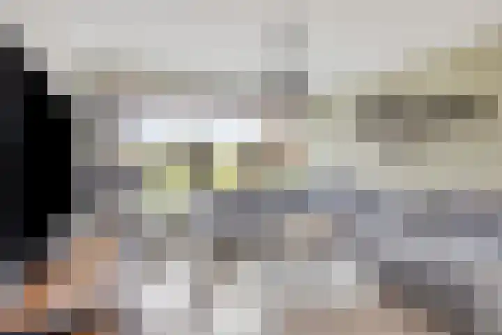 Frans Halsstraat 11 Goor thumbnail 12