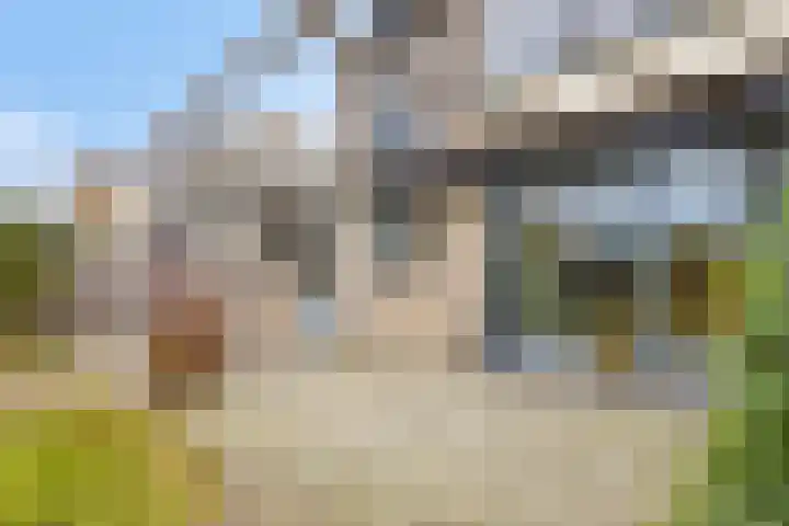 Frans Halsstraat 11 Goor thumbnail 32