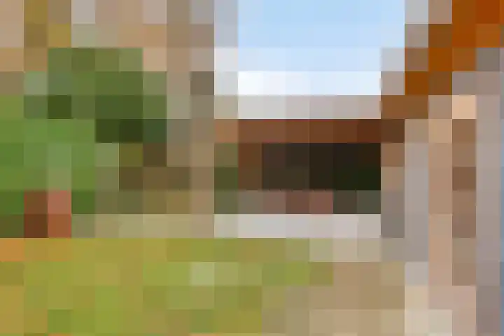 Frans Halsstraat 11 Goor thumbnail 34