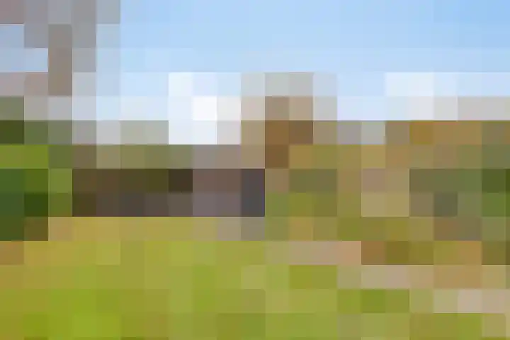 Frans Halsstraat 11 Goor thumbnail 6