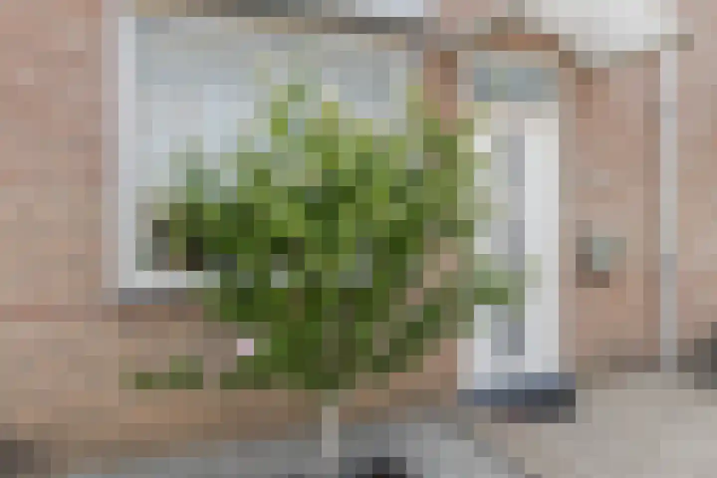 Frans Halsstraat 11 Heerlen thumbnail 7