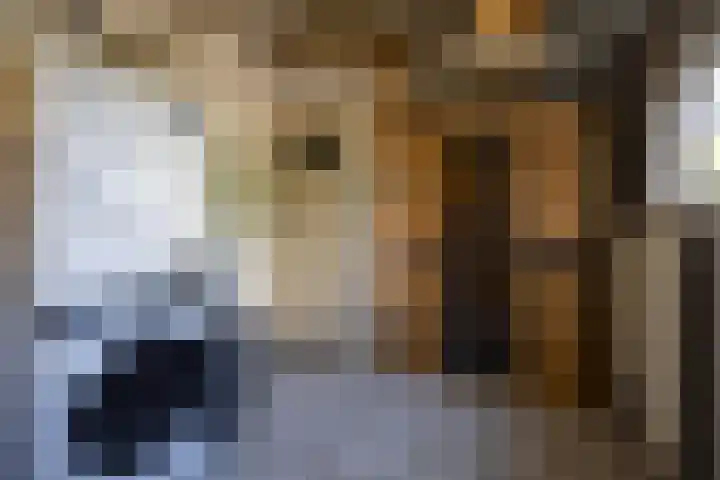 Frans Halsstraat 11 Hoogezand thumbnail 13