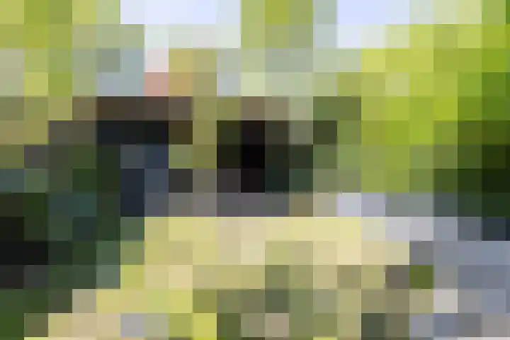 Frans Halsstraat 11 Hoogezand thumbnail 4