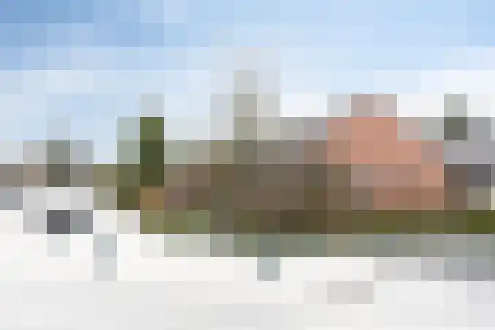 Frans Halsstraat 11 Winterswijk thumbnail 5