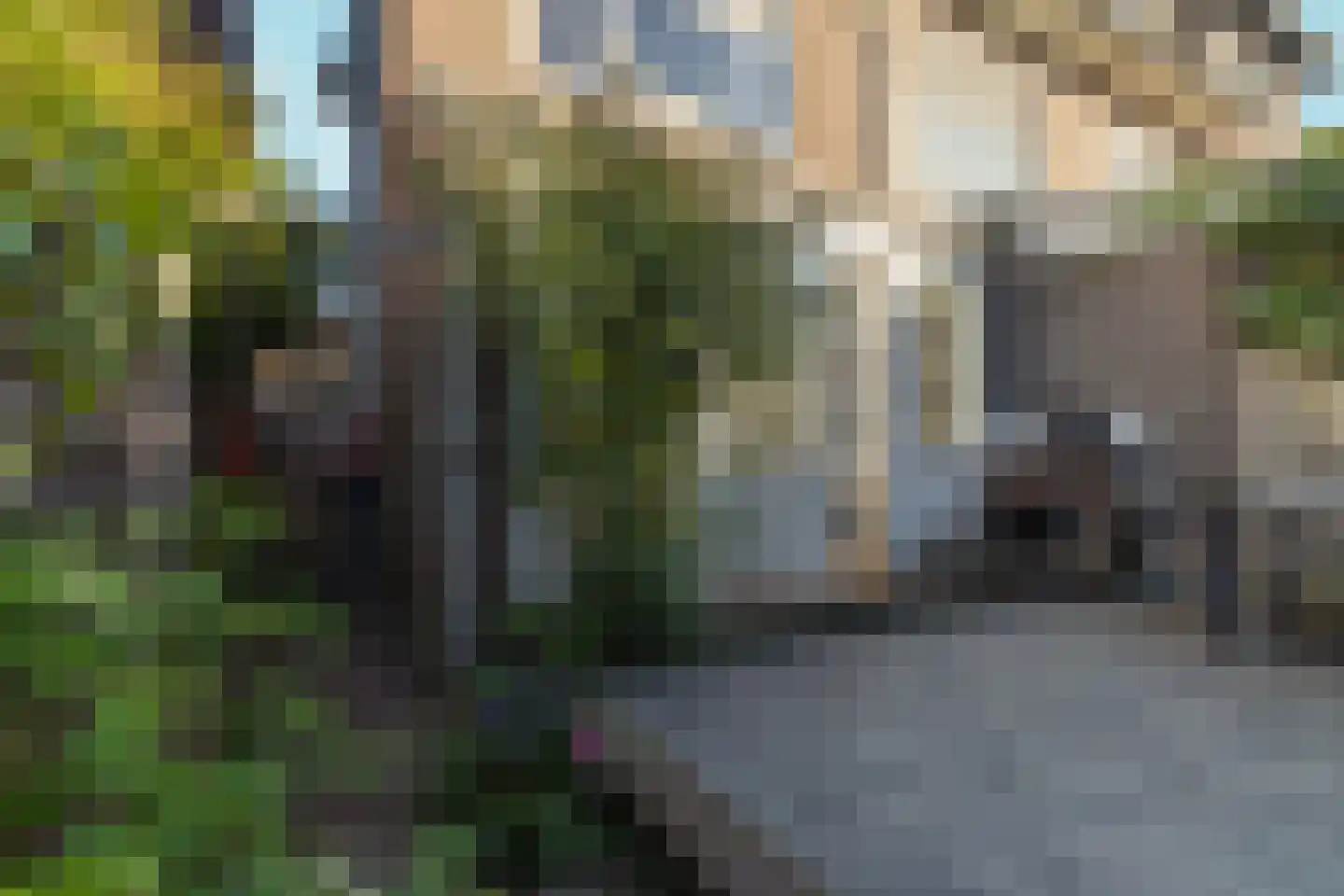 Frans Halsstraat 12 Nijmegen thumbnail 60