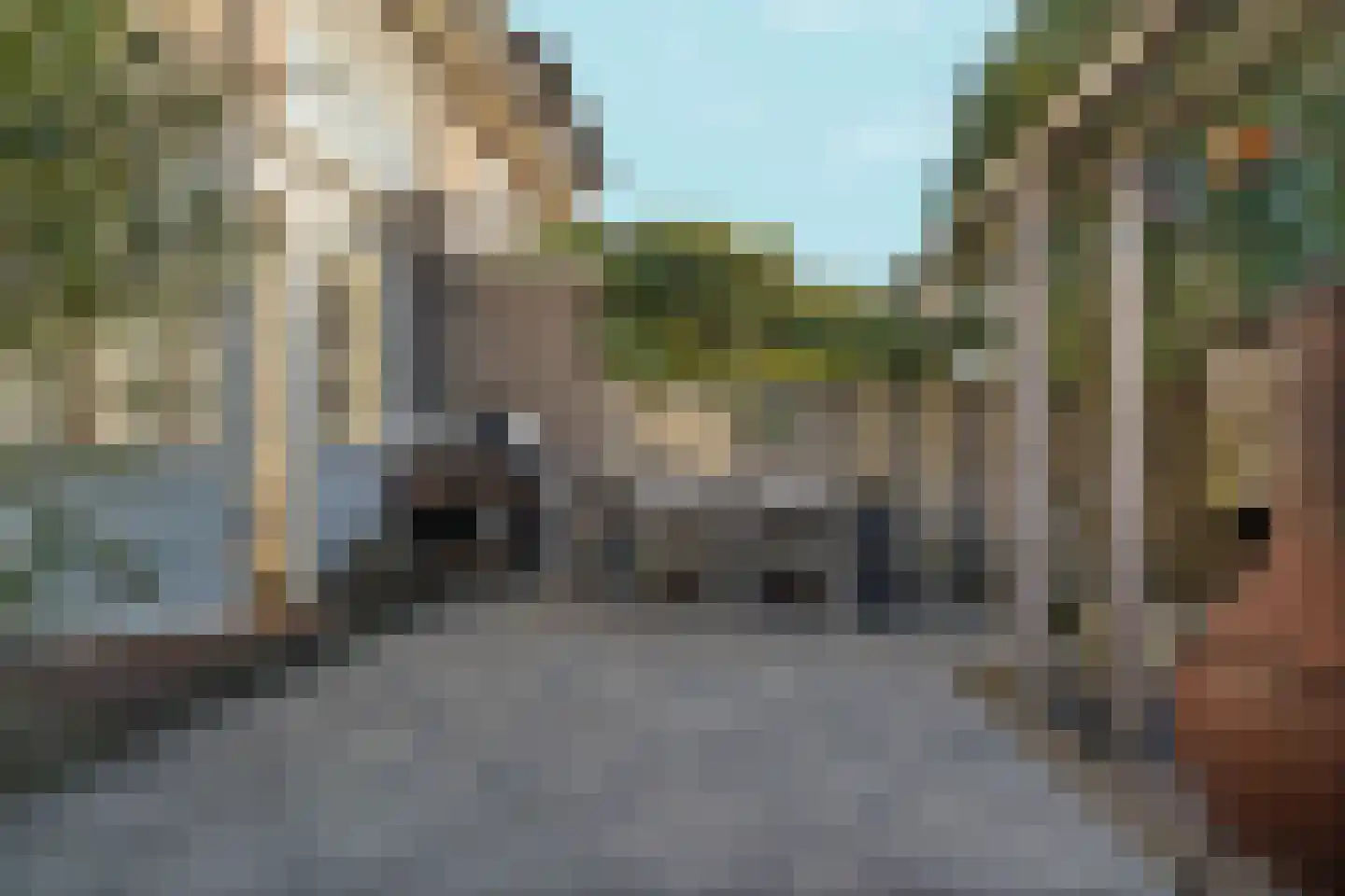 Frans Halsstraat 12 Nijmegen thumbnail 61