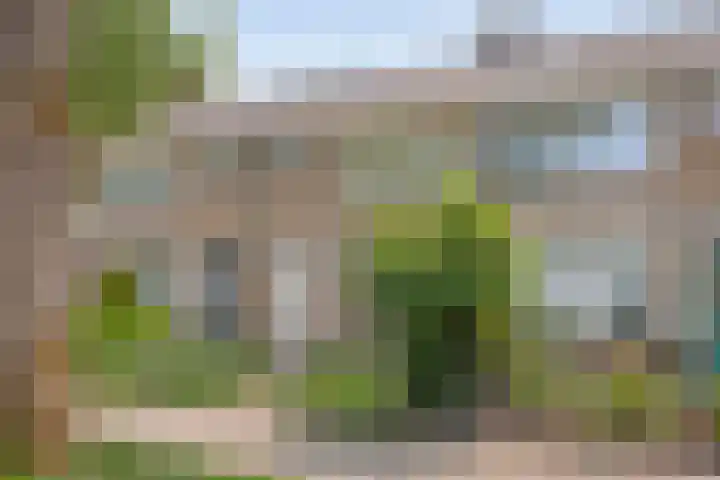 Frans Halsstraat 14 Heerhugowaard thumbnail 10