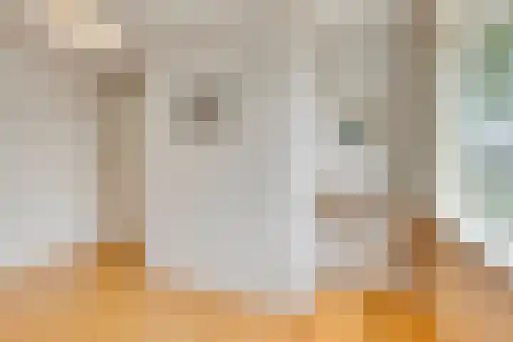 Frans Halsstraat 14 Heerhugowaard thumbnail 32