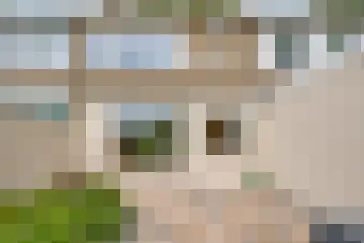 Frans Halsstraat 14 Heerhugowaard thumbnail 45