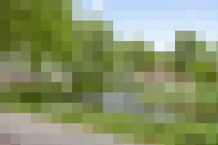 Frans Halsstraat 14 Heerhugowaard thumbnail 49