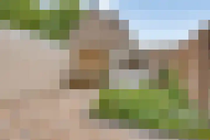 Frans Halsstraat 14 Heerhugowaard thumbnail 7