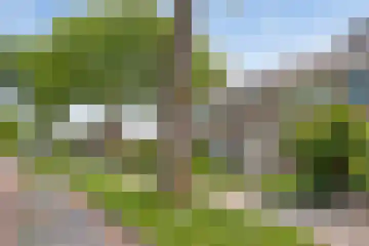Frans Halsstraat 14 Heerhugowaard thumbnail 8
