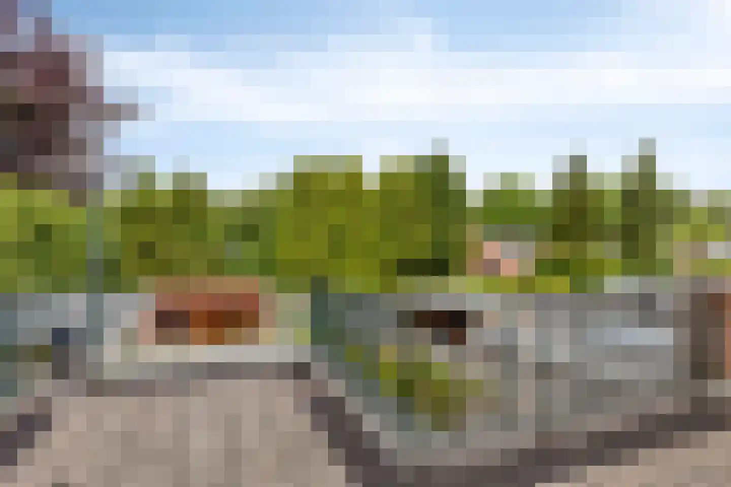 Frans Halsstraat 14 Winterswijk thumbnail 25