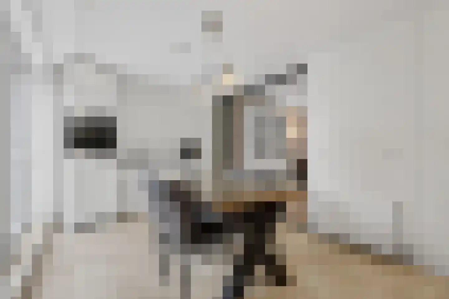Frans Halsstraat 15 Rijssen thumbnail 18