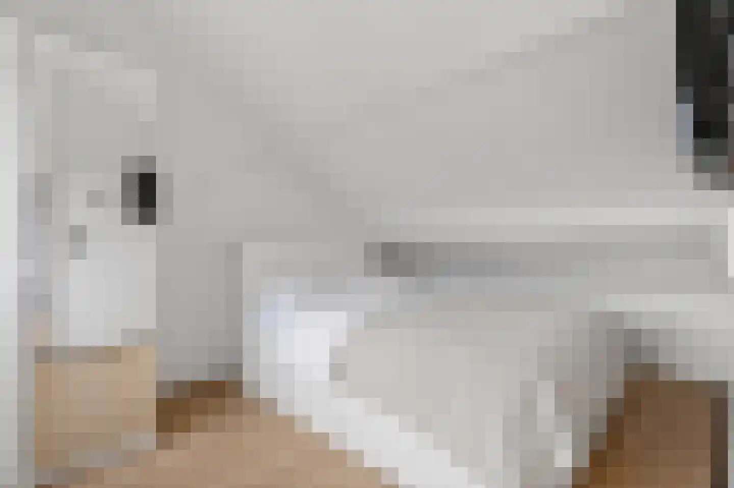 Frans Halsstraat 15 Rijssen thumbnail 35