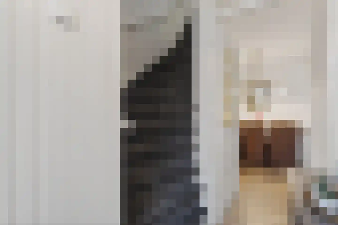 Frans Halsstraat 15 Rijssen thumbnail 9