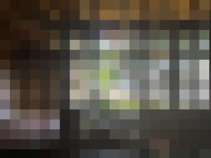 Frans Halsstraat 16 Best thumbnail 16