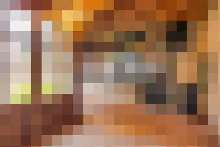 Frans Halsstraat 16 Best thumbnail 21