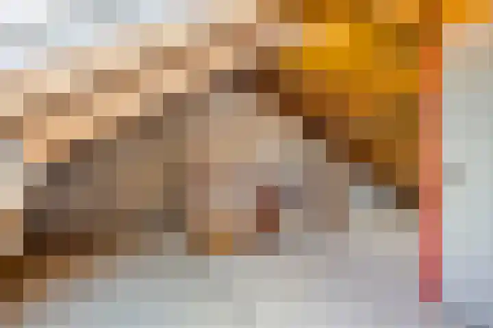 Frans Halsstraat 16 Best thumbnail 34