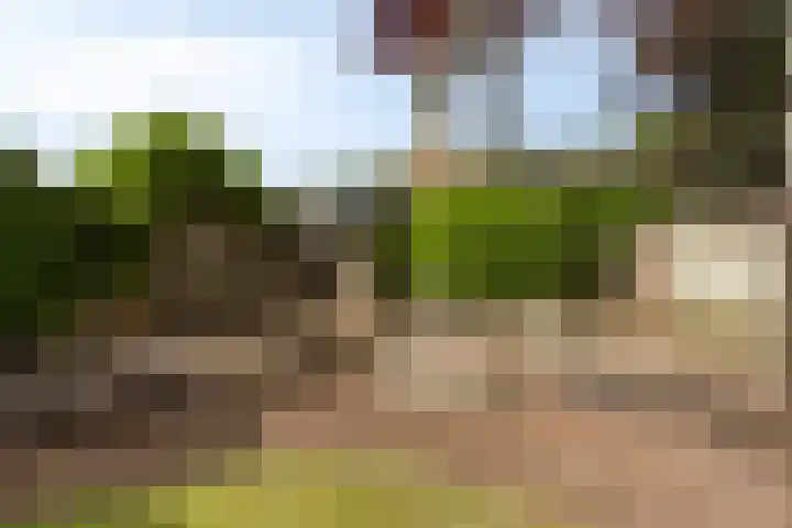 Frans Halsstraat 16 Best thumbnail 37