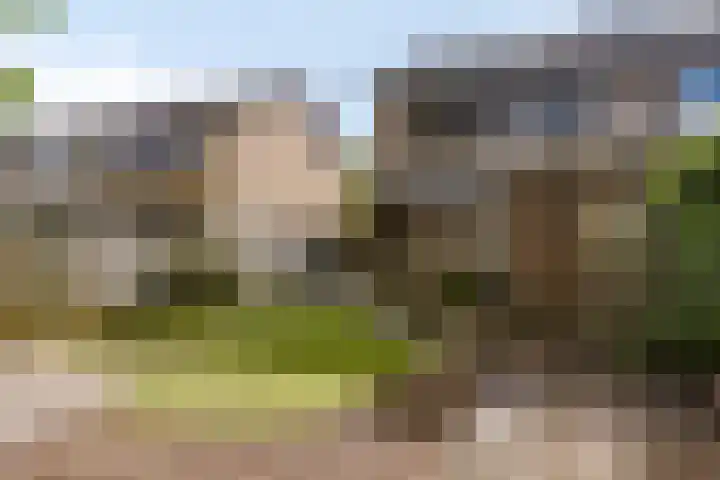 Frans Halsstraat 16 Best thumbnail 38