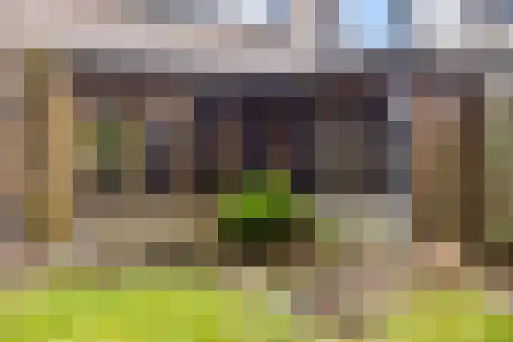 Frans Halsstraat 16 Best thumbnail 40