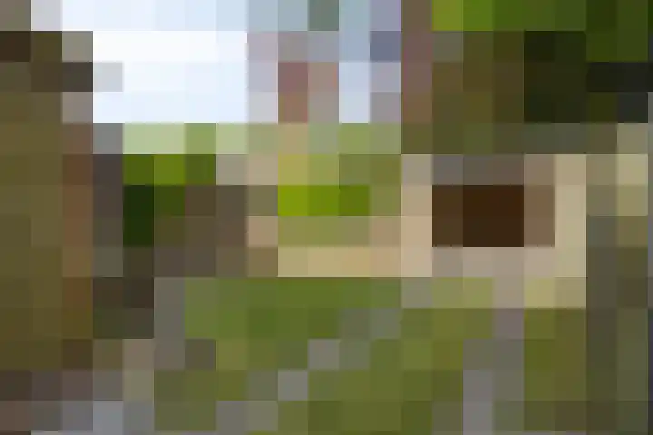 Frans Halsstraat 16 Best thumbnail 42