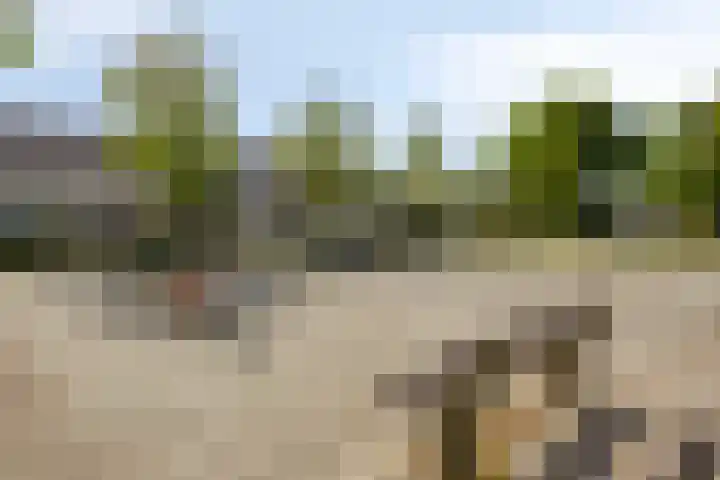 Frans Halsstraat 16 Best thumbnail 43