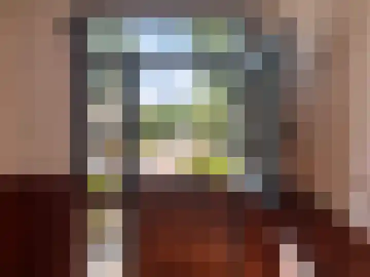 Frans Halsstraat 16 Best thumbnail 7
