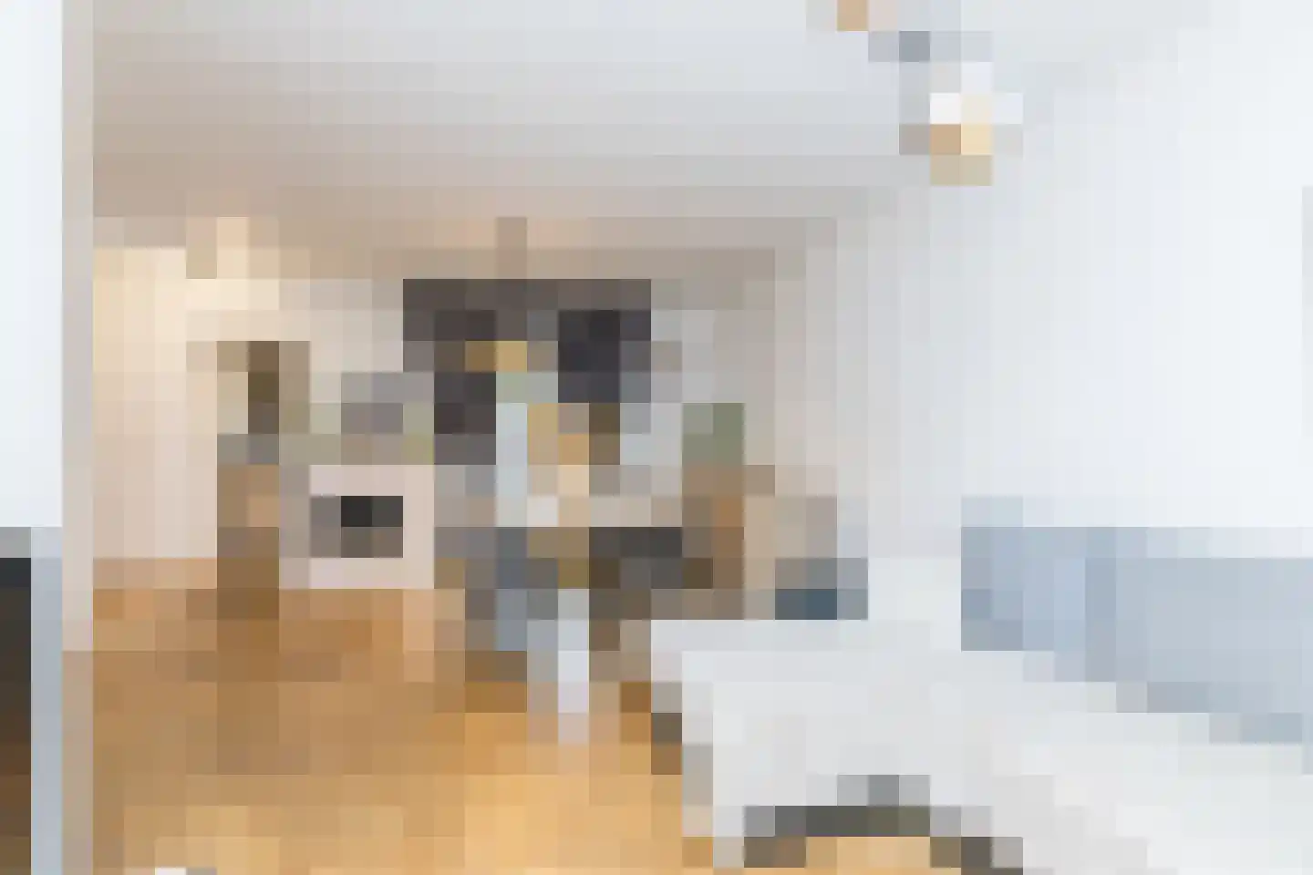 Frans Halsstraat 16 Heerlen thumbnail 8