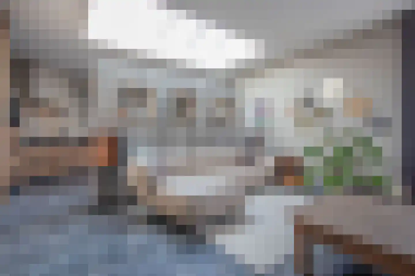Frans Halsstraat 16 Kessel thumbnail 12