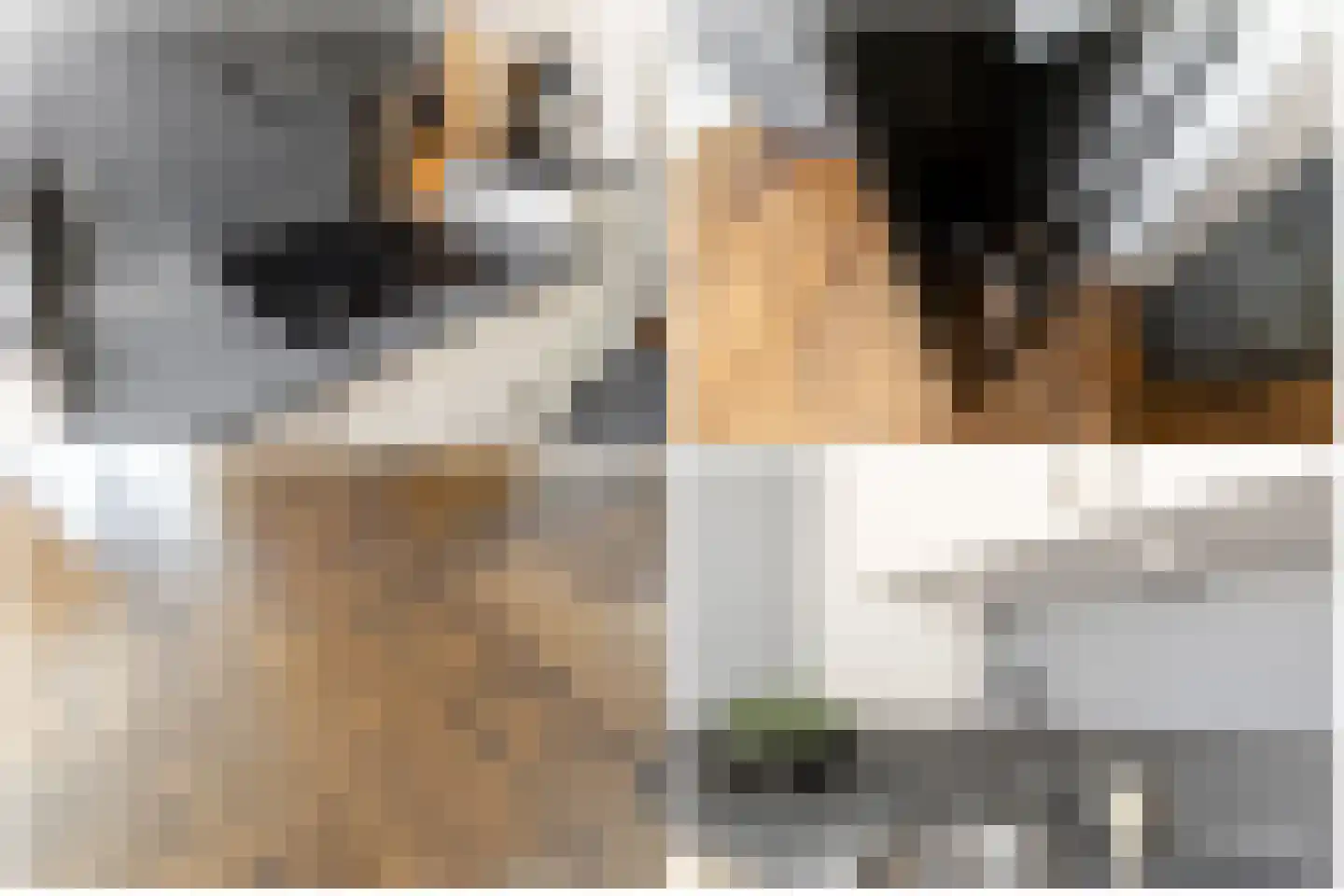 Frans Halsstraat 18 Best thumbnail 19
