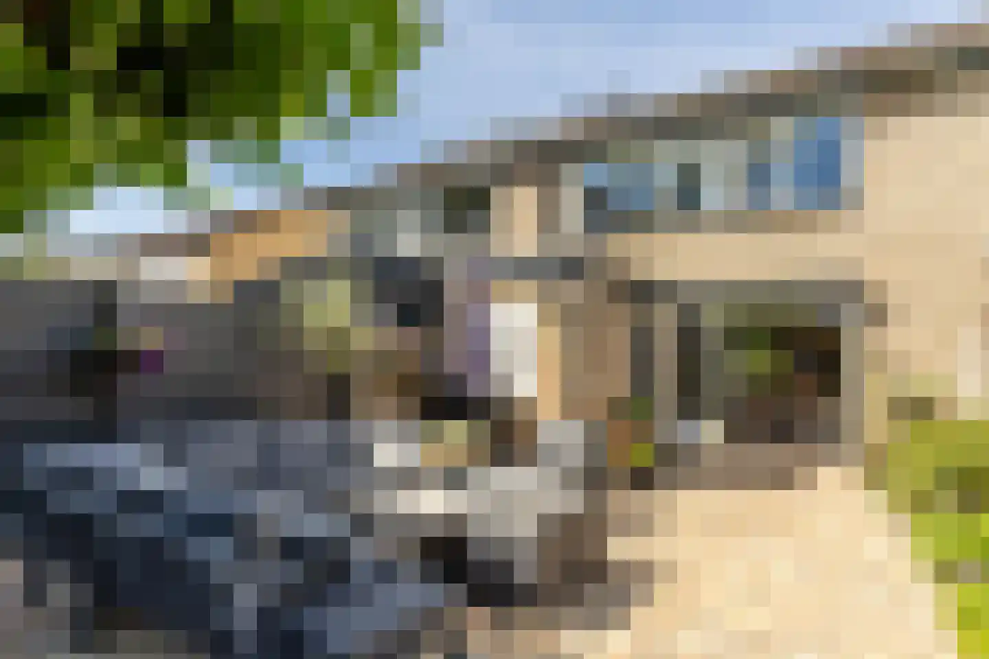 Frans Halsstraat 18 Best thumbnail 30