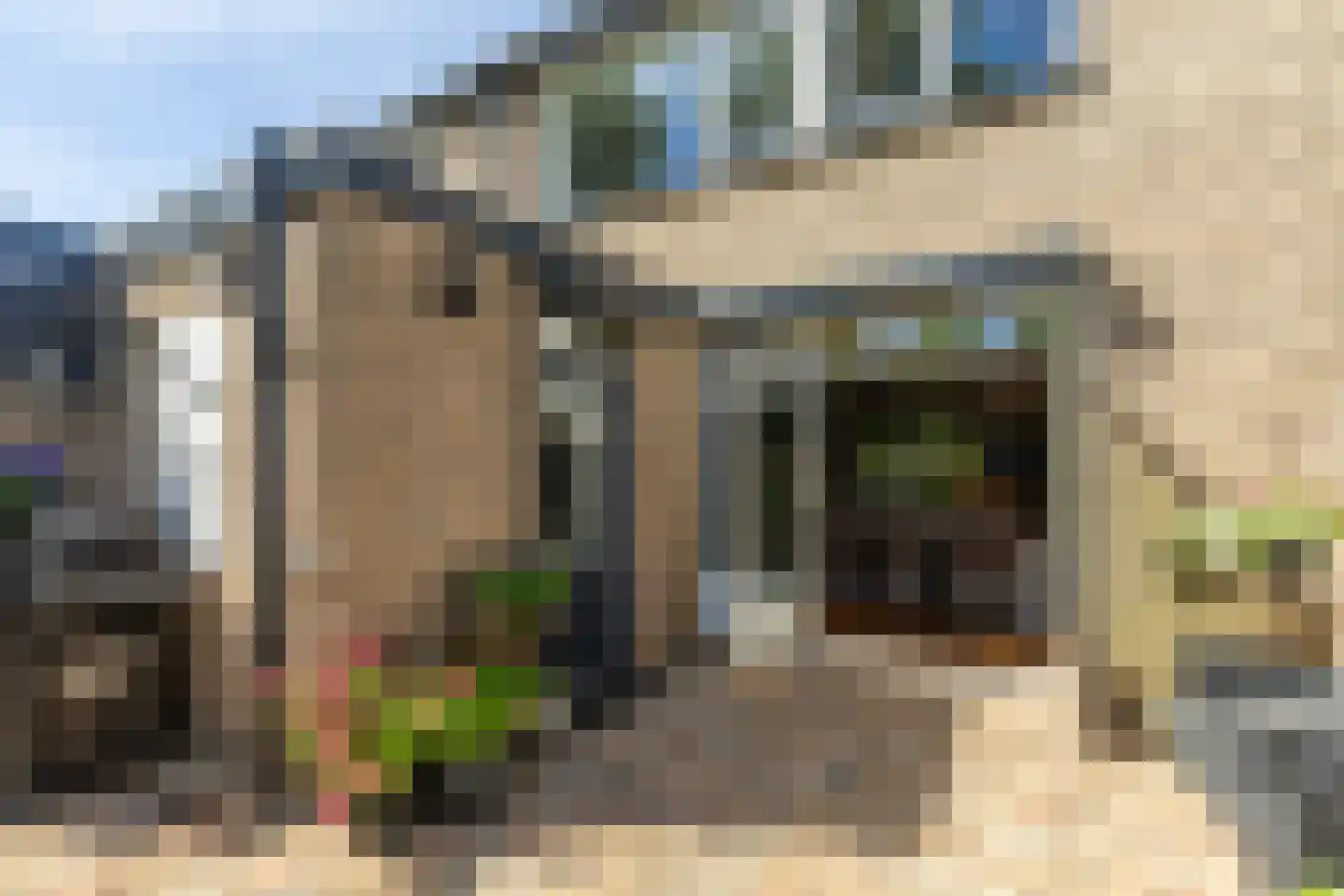 Frans Halsstraat 18 Best thumbnail 31