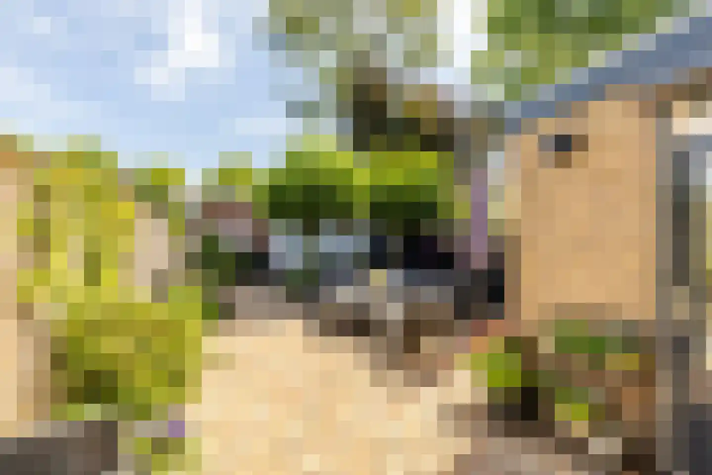Frans Halsstraat 18 Best thumbnail 32