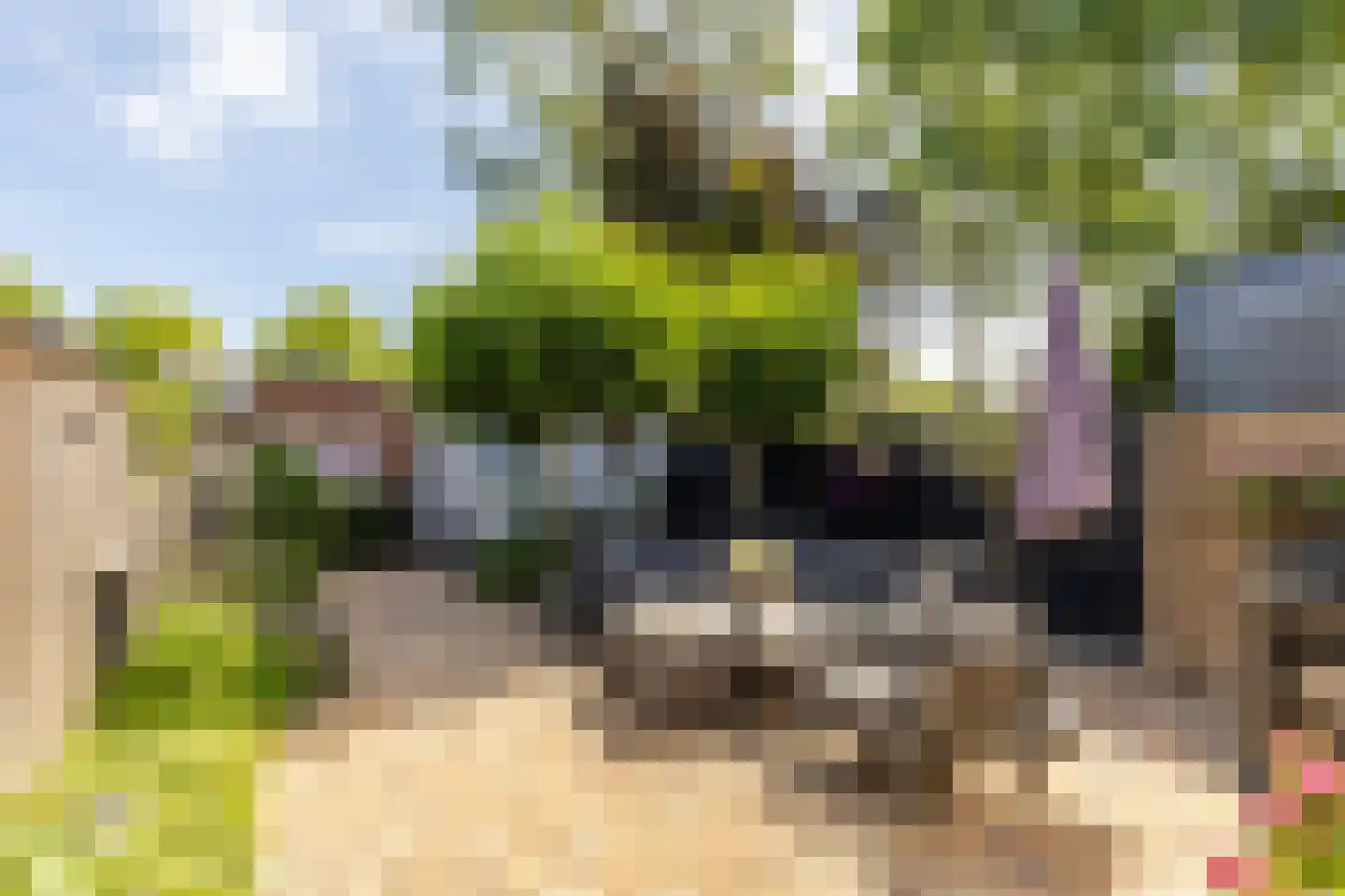 Frans Halsstraat 18 Best thumbnail 33