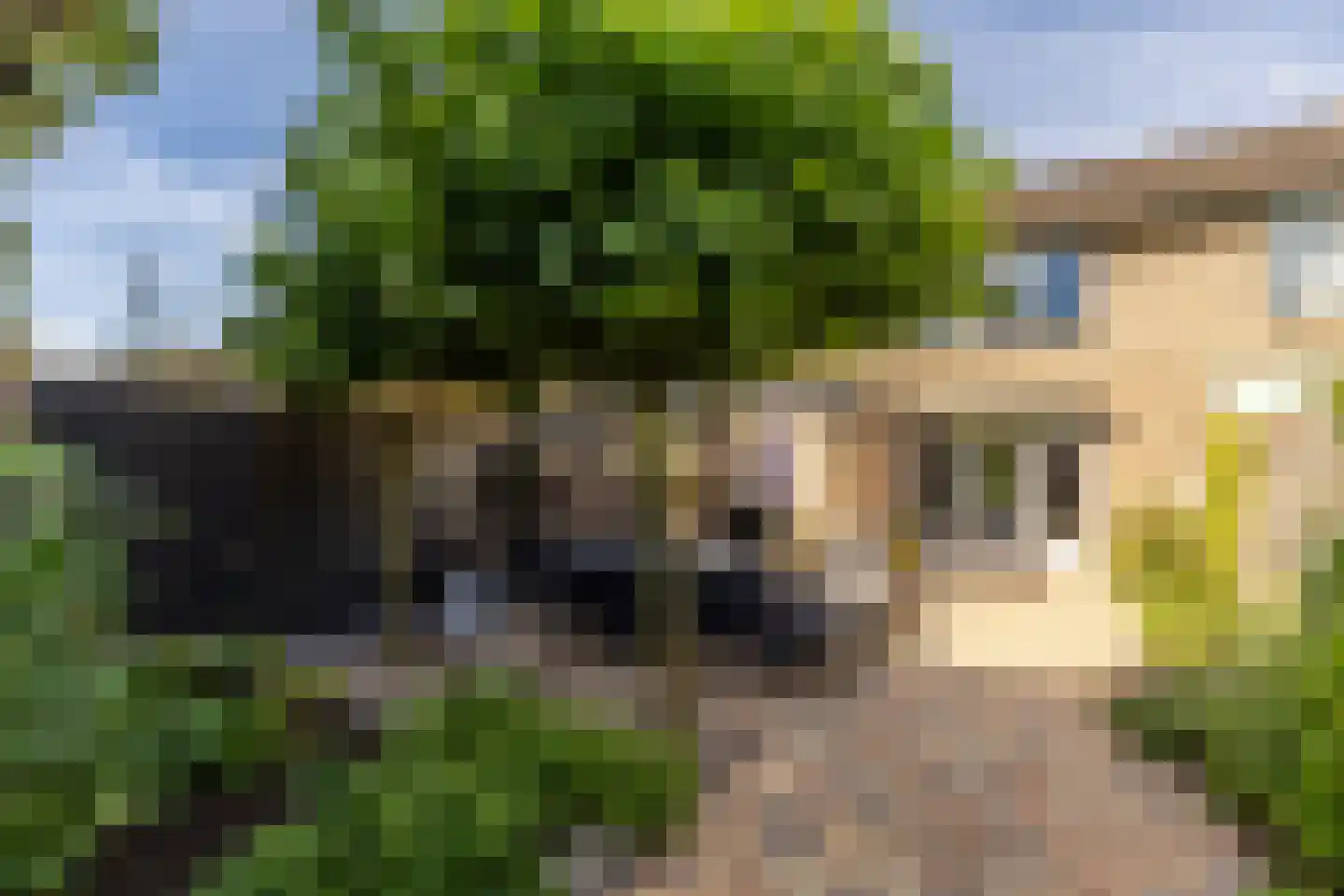 Frans Halsstraat 18 Best thumbnail 35