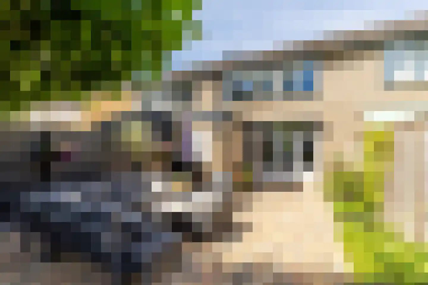 Frans Halsstraat 18 Best thumbnail 36