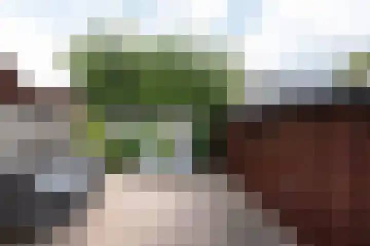 Frans Halsstraat 18 Groenlo thumbnail 26
