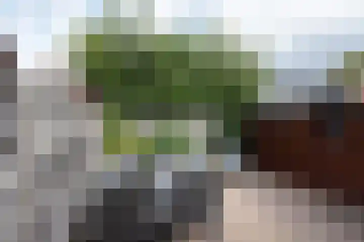 Frans Halsstraat 18 Groenlo thumbnail 28