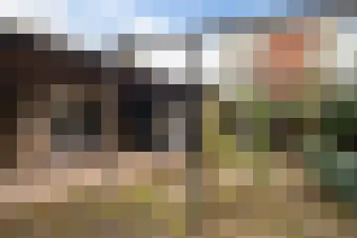 Frans Halsstraat 19 Almelo thumbnail 4