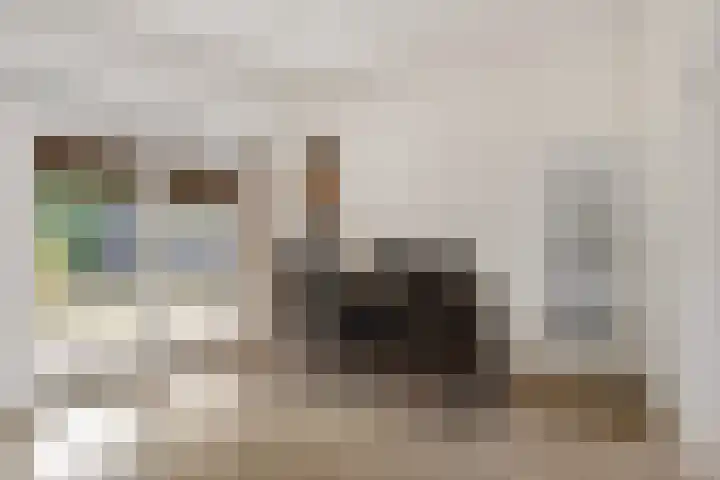 Frans Halsstraat 19 Almelo thumbnail 8