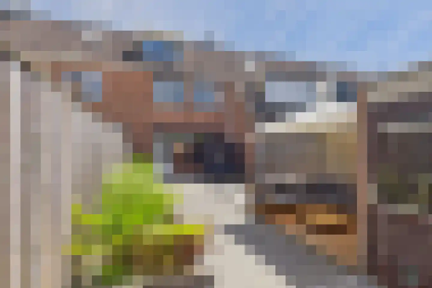 Frans Halsstraat 19 Axel thumbnail 6