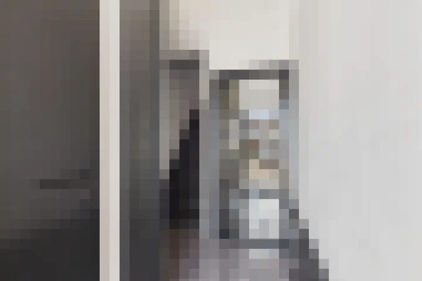 Frans Halsstraat 19 Axel thumbnail 8